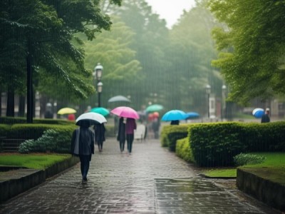 雨韵校园，诗意画卷中的漫步时光